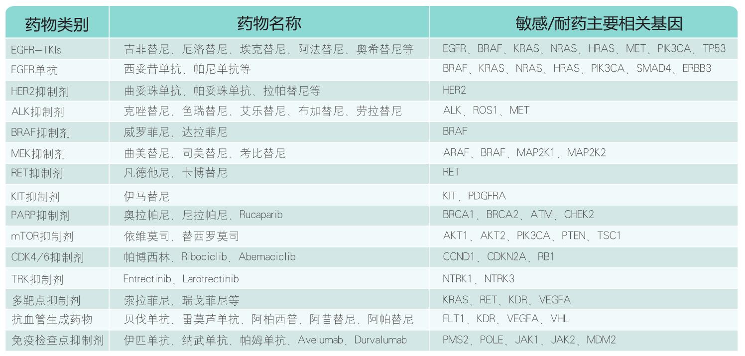 开云体育- 开云体育官方网站- Kaiyun Sports